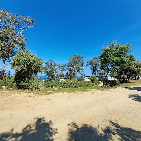 Calvi Mobil-Home Neuf Particulier Sur Camping لوميو المظهر الخارجي الصورة